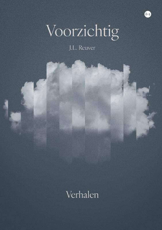 Omslag van Voorzichtig