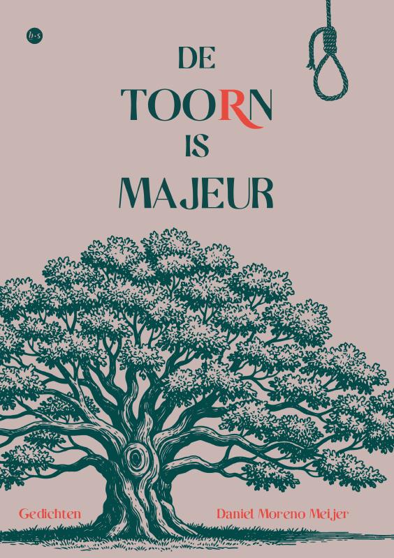 Omslag van De toorn is majeur