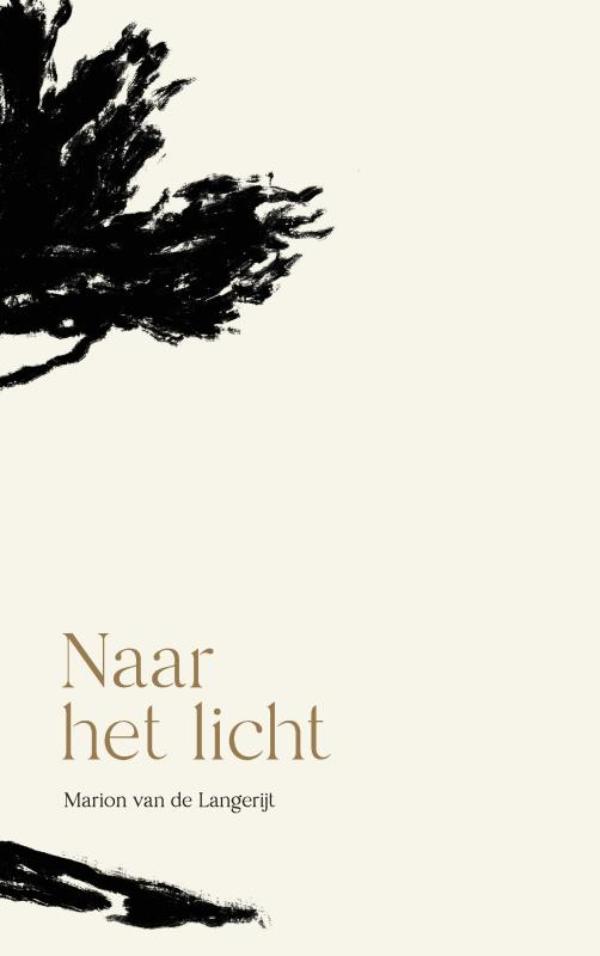 Omslag van Naar het licht