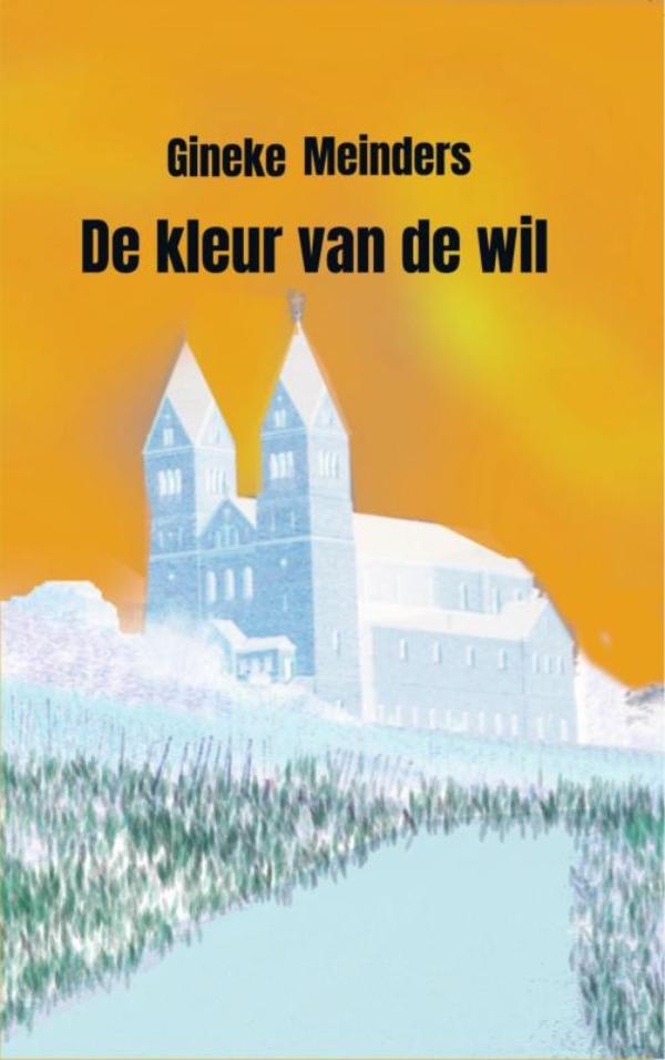 Omslag van De kleur van de wil