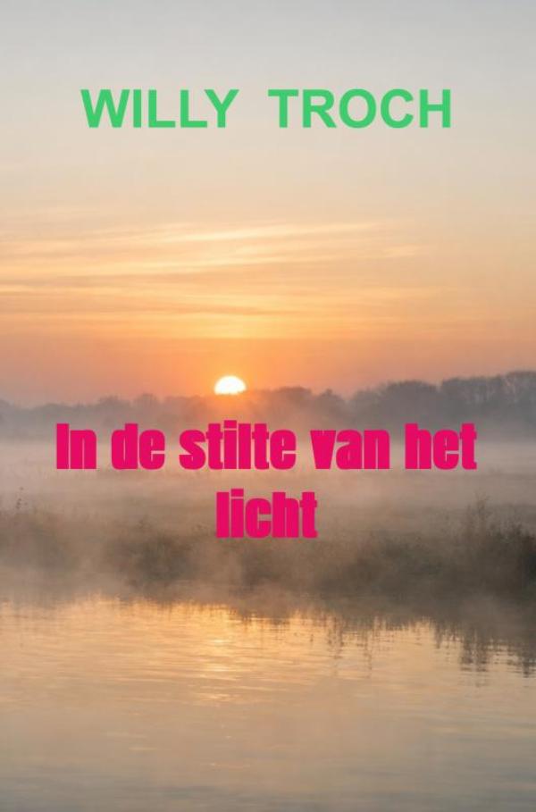 Omslag van In de stilte van het licht