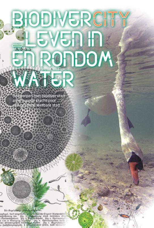 Omslag van BiodiverCITY_ Leven in en rondom water