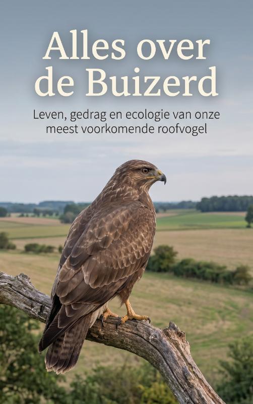 Omslag van Alles over de Buizerd