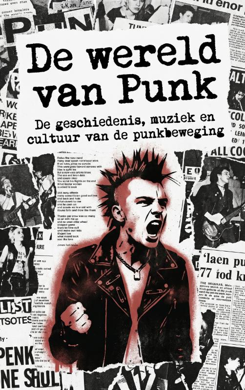 Omslag van De wereld van Punk