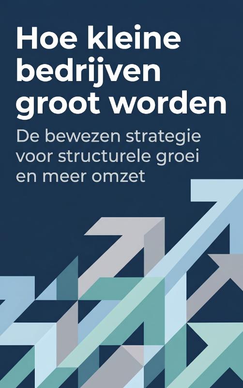 Omslag van Hoe kleine bedrijven groot worden