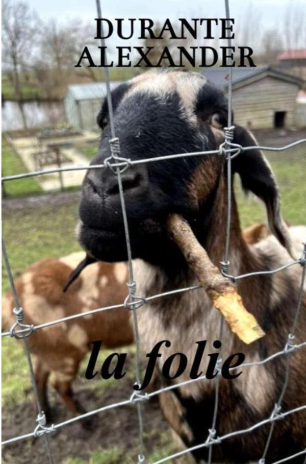 Omslag van La folie
