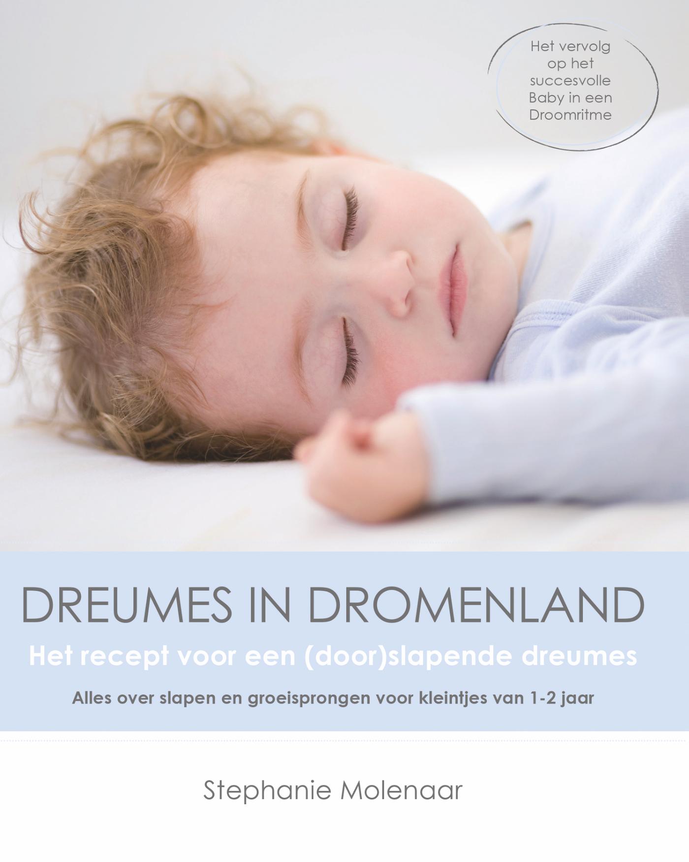 Omslag van Dreumes in dromenland
