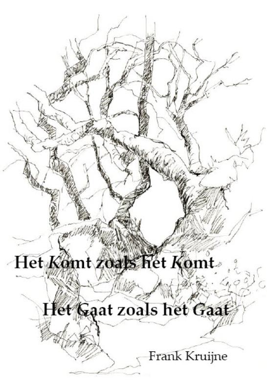 Omslag van Het komt zoals het komt, Het gaat zoals het gaat