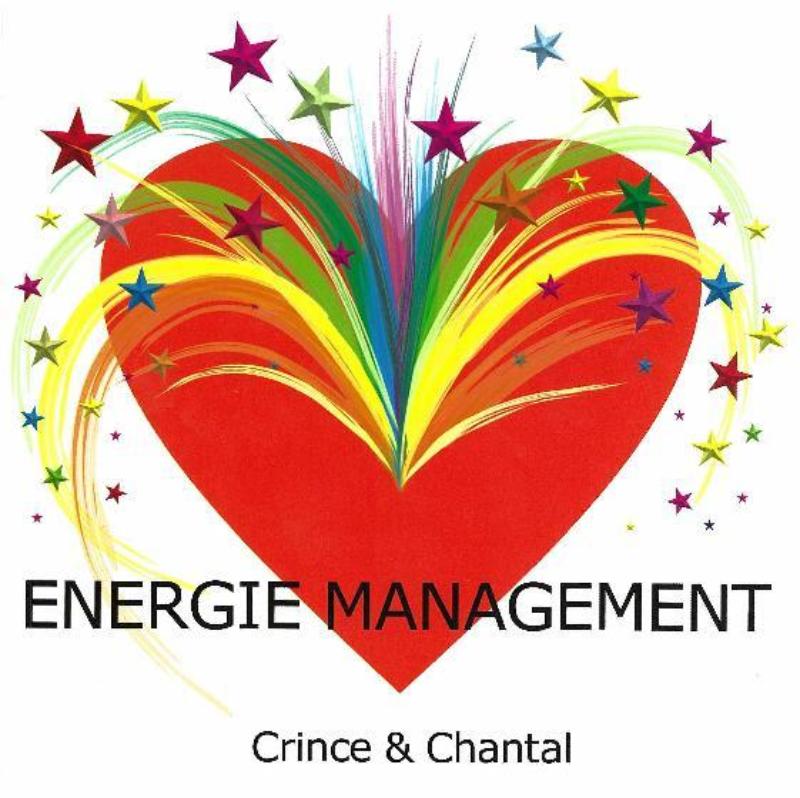 Omslag van Energie Management