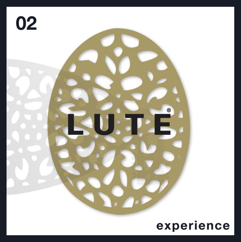 Omslag van Experience