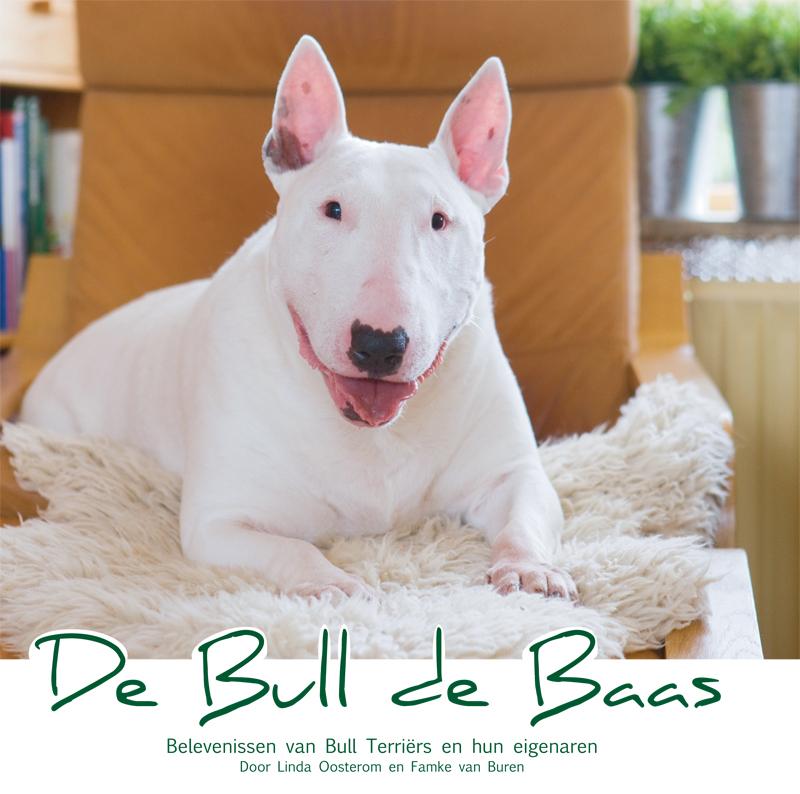 Omslag van De Bull de Baas
