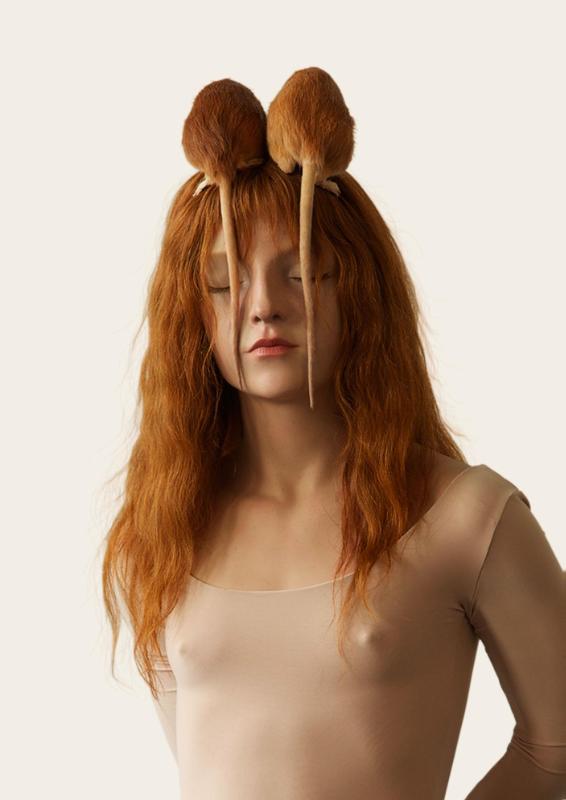 Omslag van Silvia B.
