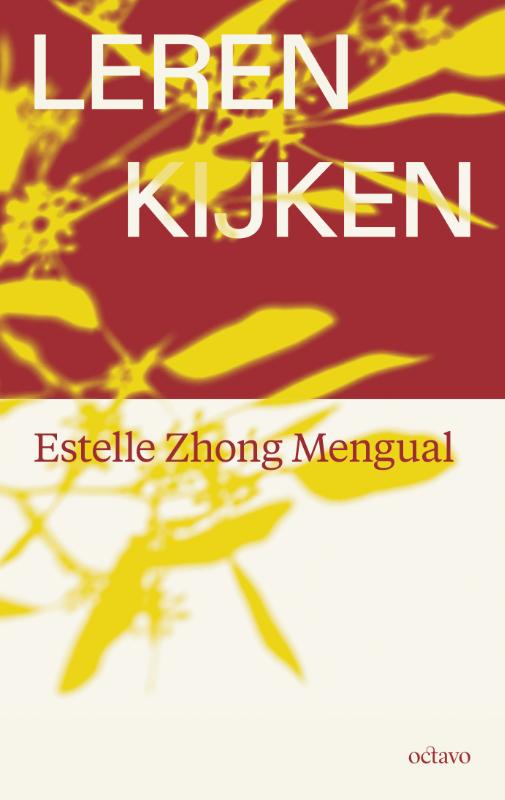 Omslag van Leren kijken