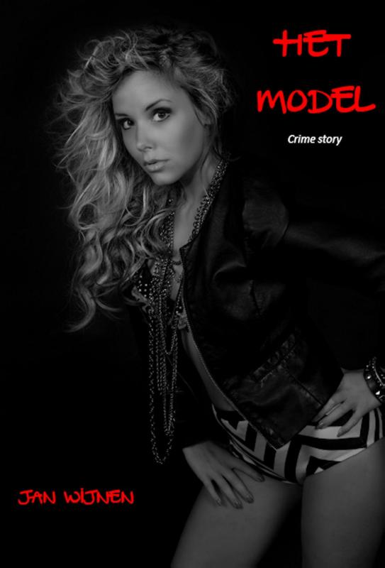 Omslag van Het model
