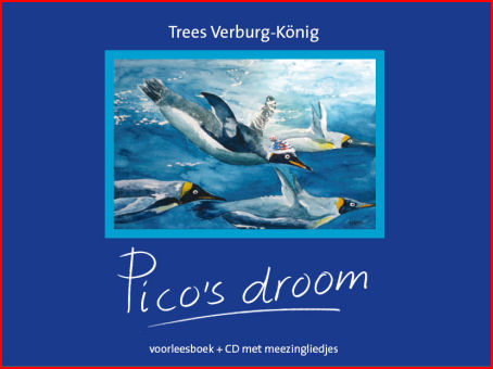 Omslag van Pico's droom