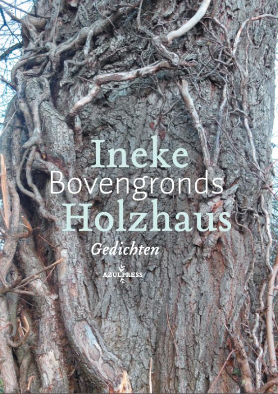 Omslag van Bovengronds