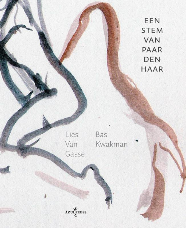 Omslag van Een stem van paardenhaar