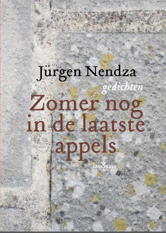 Omslag van Zomer nog in de laatste appels