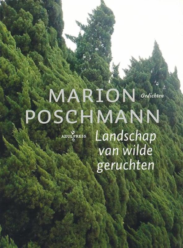 Omslag van Landschap van wilde geruchten