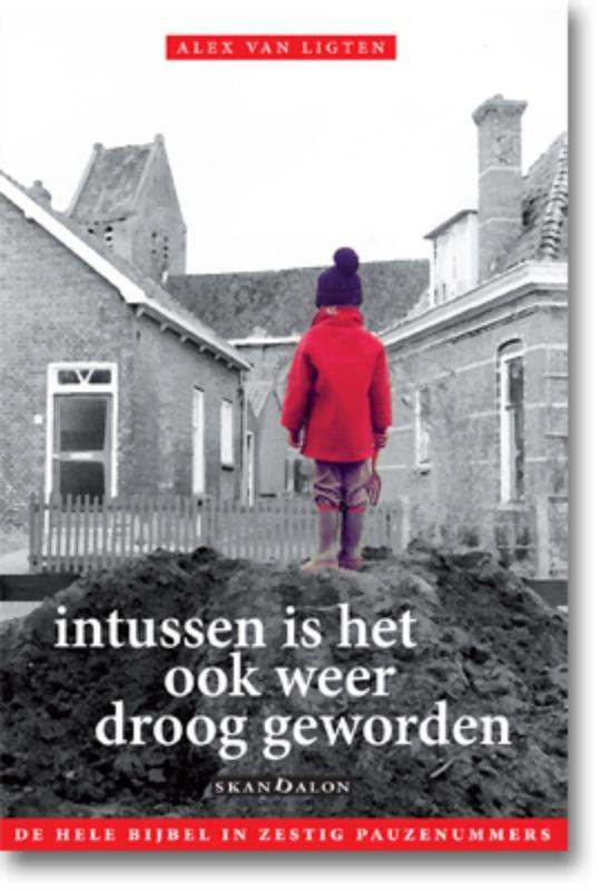 Omslag van Intussen is het ook weer droog geworden