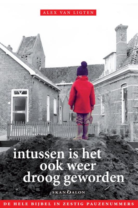 Omslag van Intussen is het ook weer droog geworden