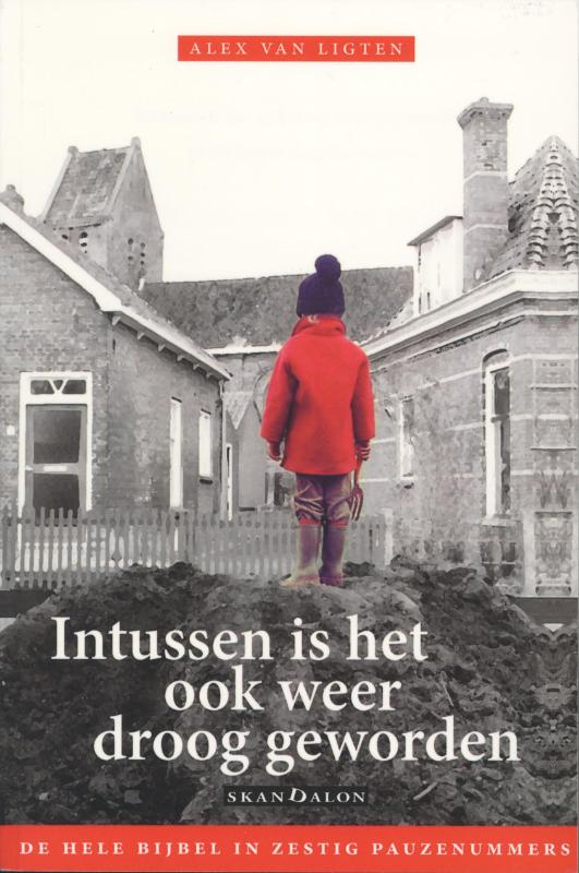 Omslag van Intussen is het ook weer droog geworden