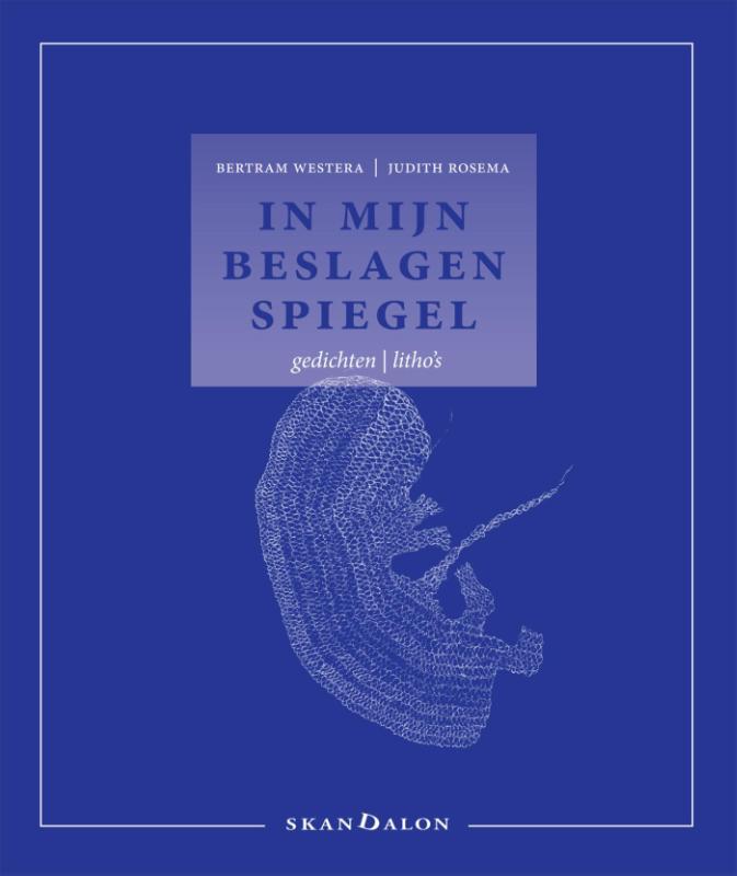 Omslag van In mijn beslagen spiegel
