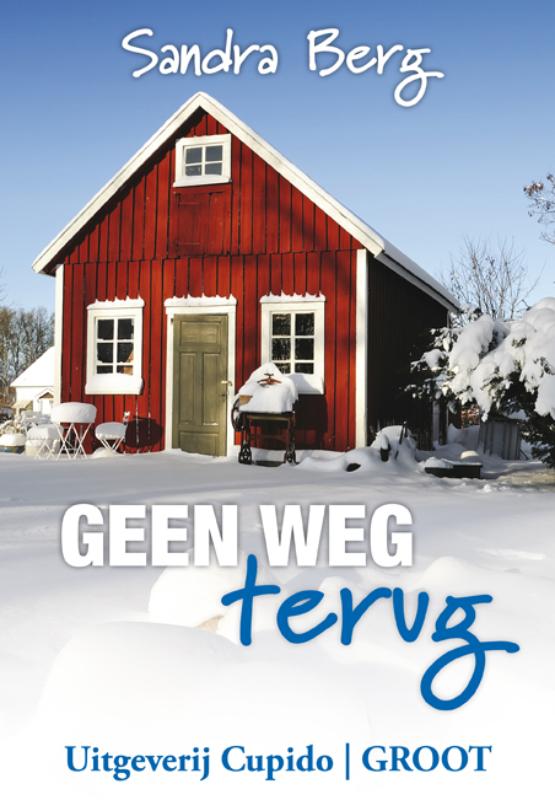 Omslag van Geen weg terug