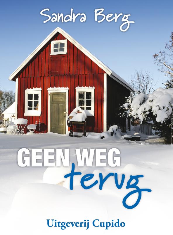 Omslag van Geen weg terug