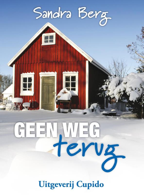 Omslag van Geen weg terug
