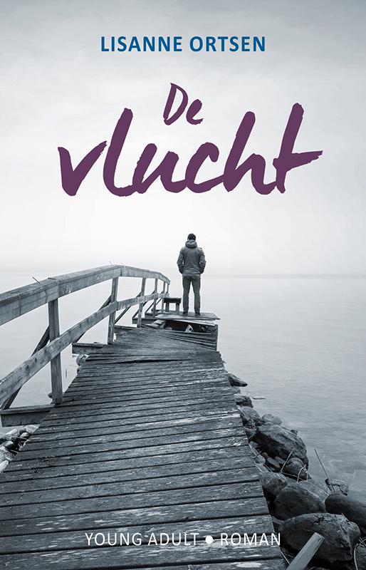 Omslag van De vlucht