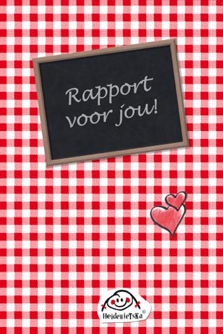Omslag van Rapport voor jou!