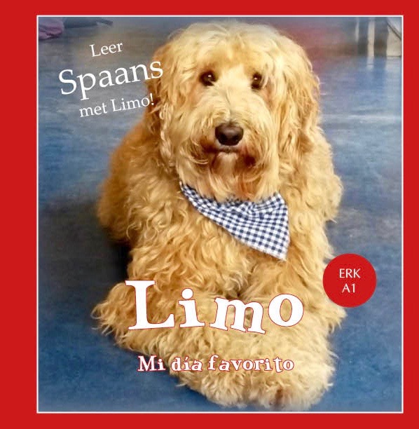 Omslag van Limo - Mi día favorito