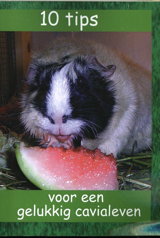 Omslag van 10 tips voor een gelukkig cavialeven