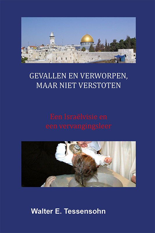 Omslag van Gevallen en verworpen, maar niet verstoten