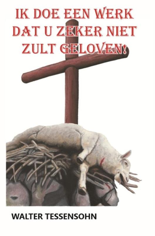 Omslag van Ik doe een werk dat u zeker niet zult geloven