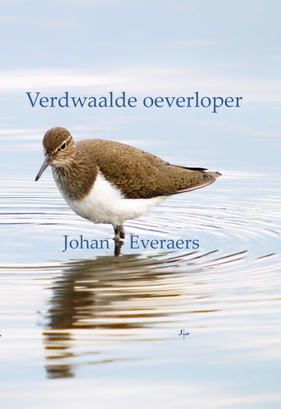 Omslag van Verdwaalde oeverloper