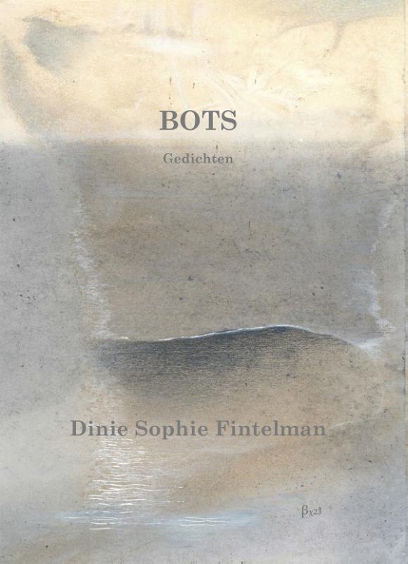 Omslag van Bots