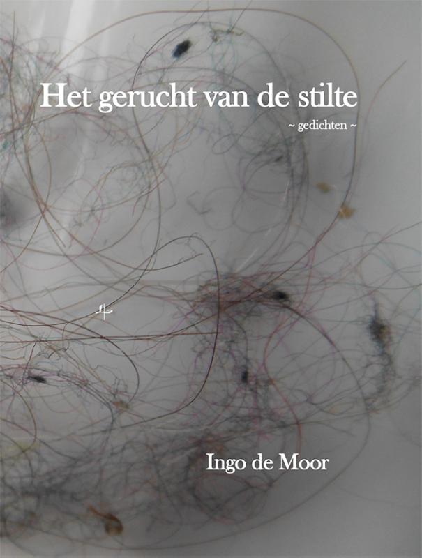 Omslag van Het gerucht van de stilte