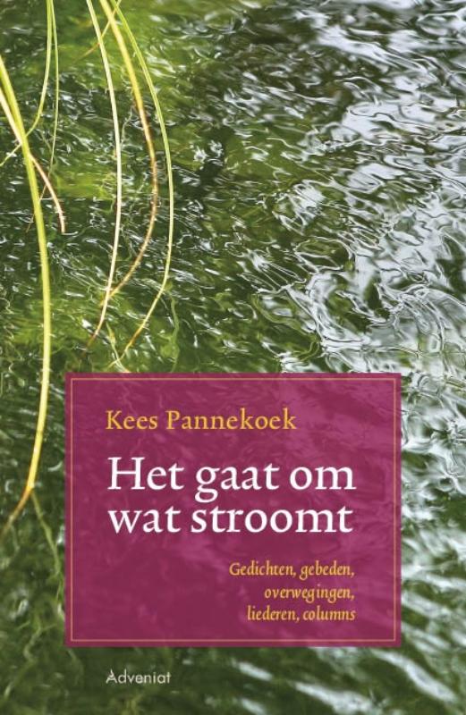 Omslag van Het gaat om wat stroomt