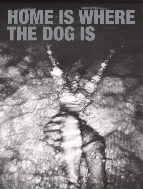 Omslag van Home is where the dog is