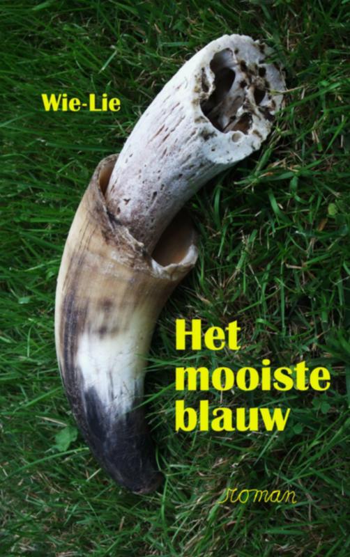 Omslag van Het mooiste blauw