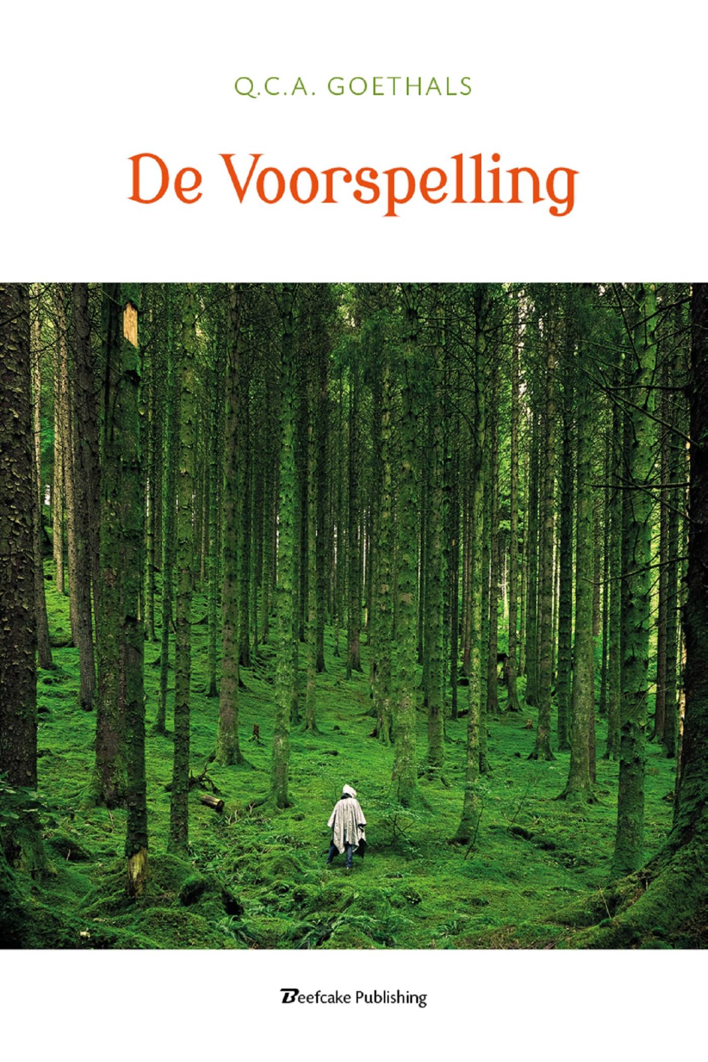 Omslag van De voorspelling