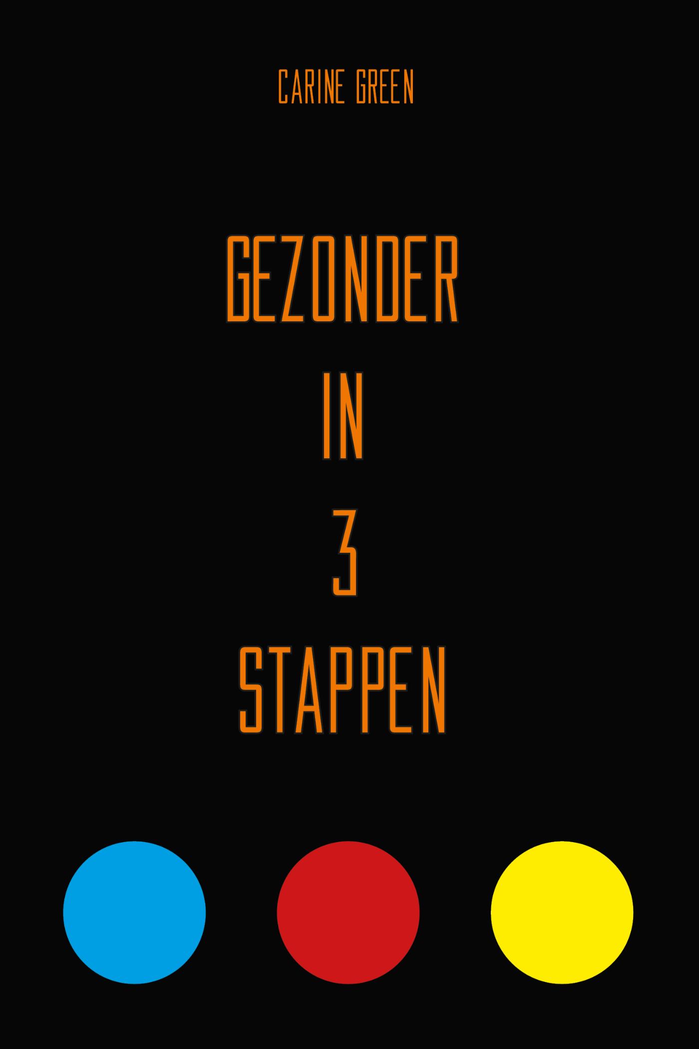 Omslag van Gezonder in 3 stappen
