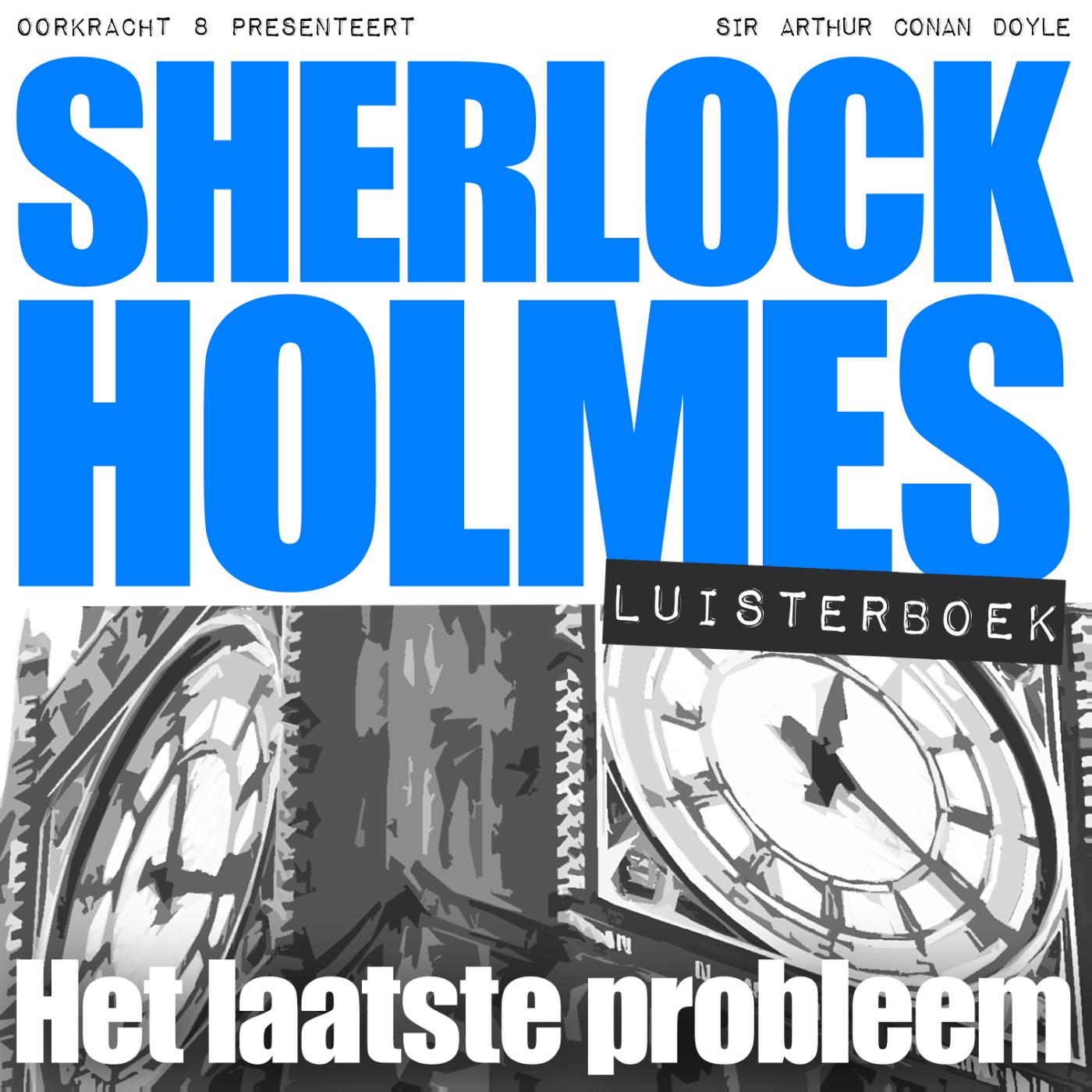 Omslag van Het laatste probleem