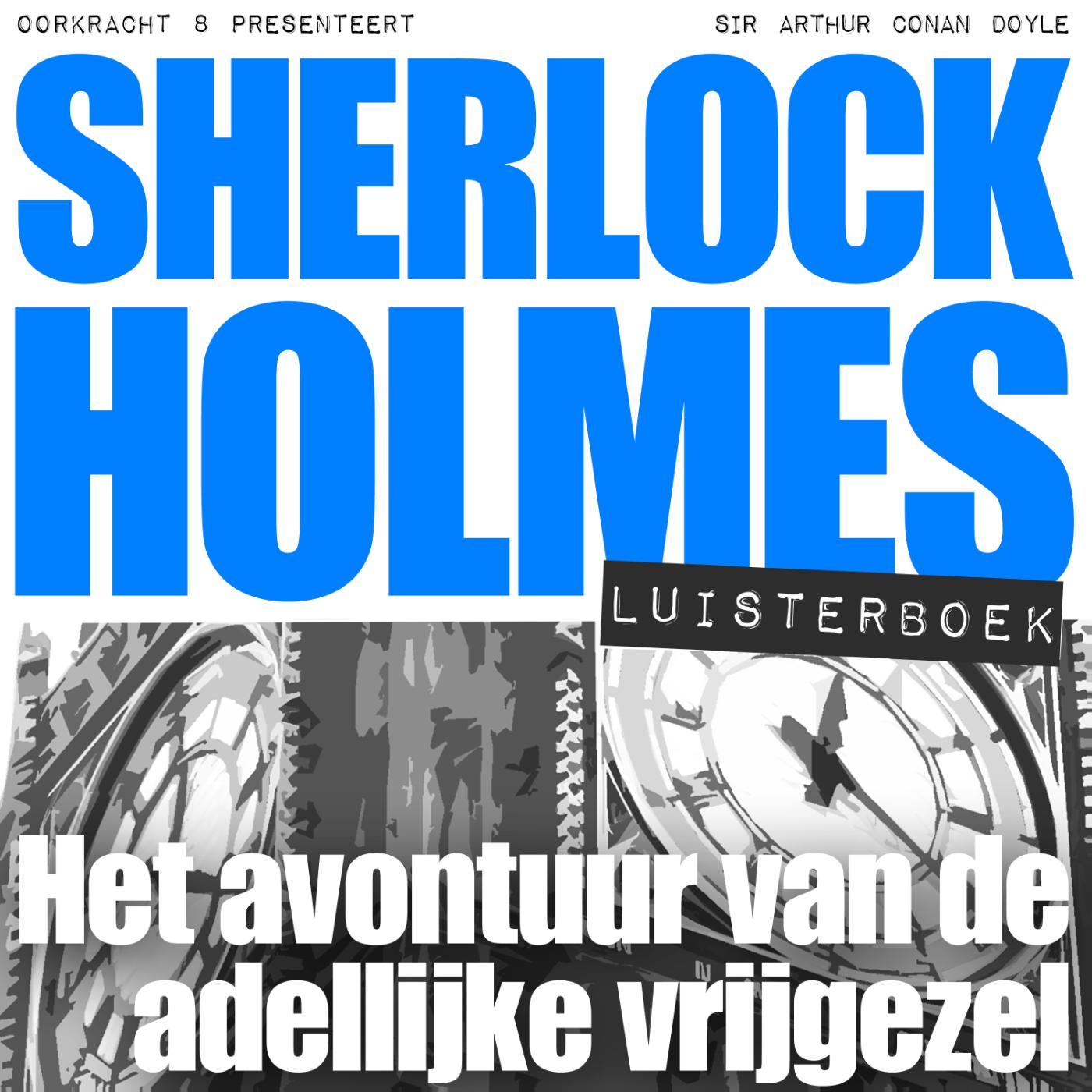 Omslag van Het avontuur van de adellijke vrijgezel