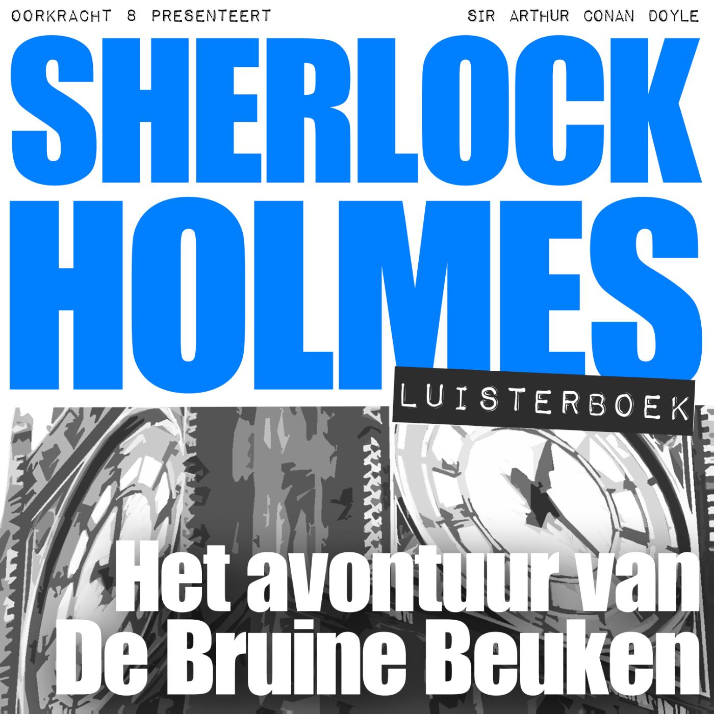 Omslag van Het avontuur van De Bruine Beuken