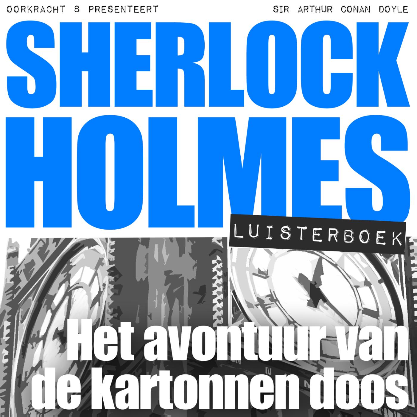 Omslag van Het avontuur van de kartonnen doos