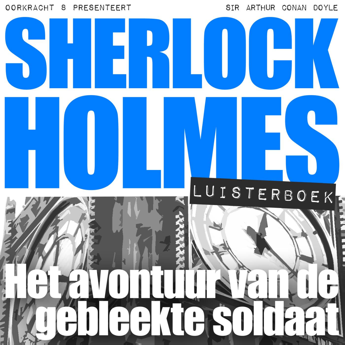 Omslag van Het avontuur van de gebleekte soldaat