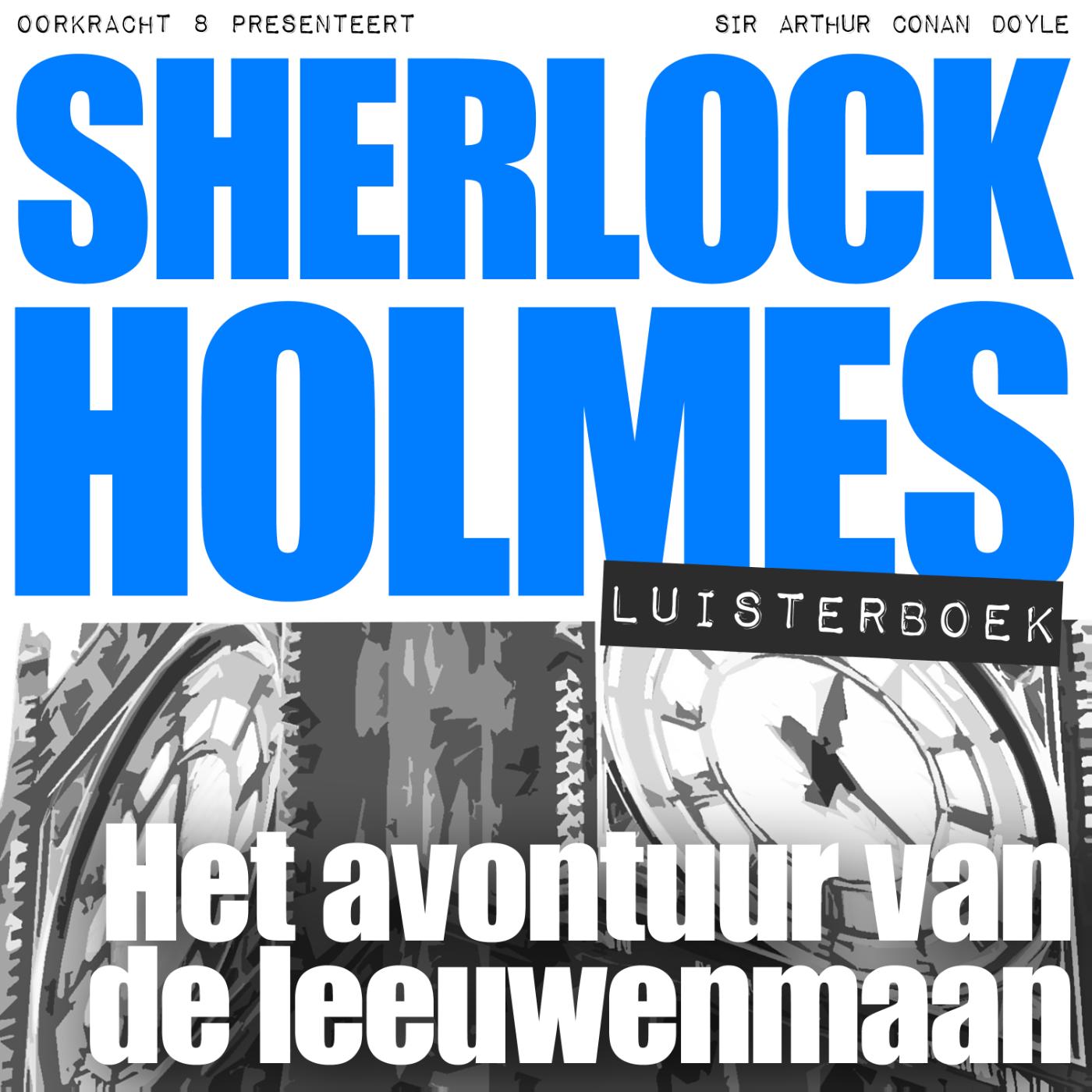 Omslag van Het avontuur van de leeuwenmaan